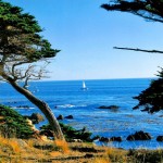carmel