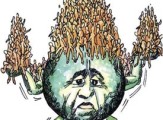 overpopulation