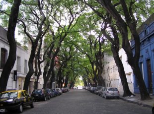 Touring Beautiful Buenos Aires